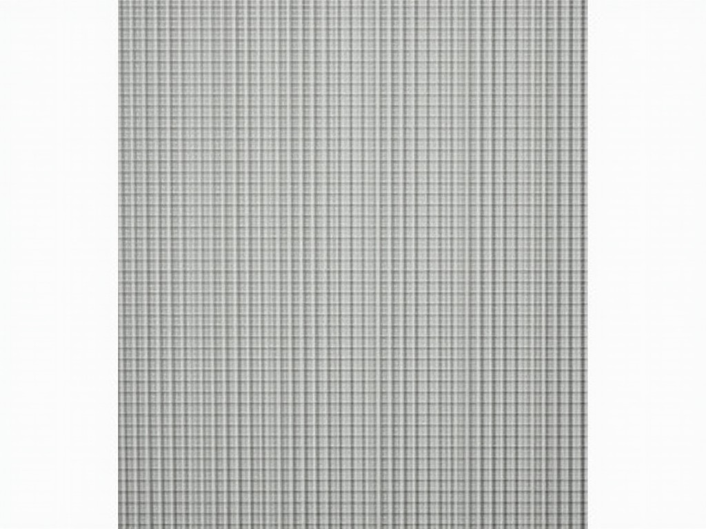 304 Powder Coated Stainless Steel Security Window Screen Mesh Suppliers